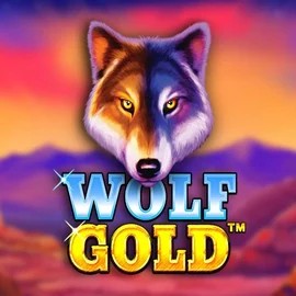 Play the Wolf Gold slot by Pragmatic Play on Slotoro Casino